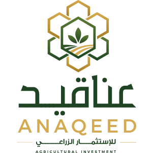 Anaqeed