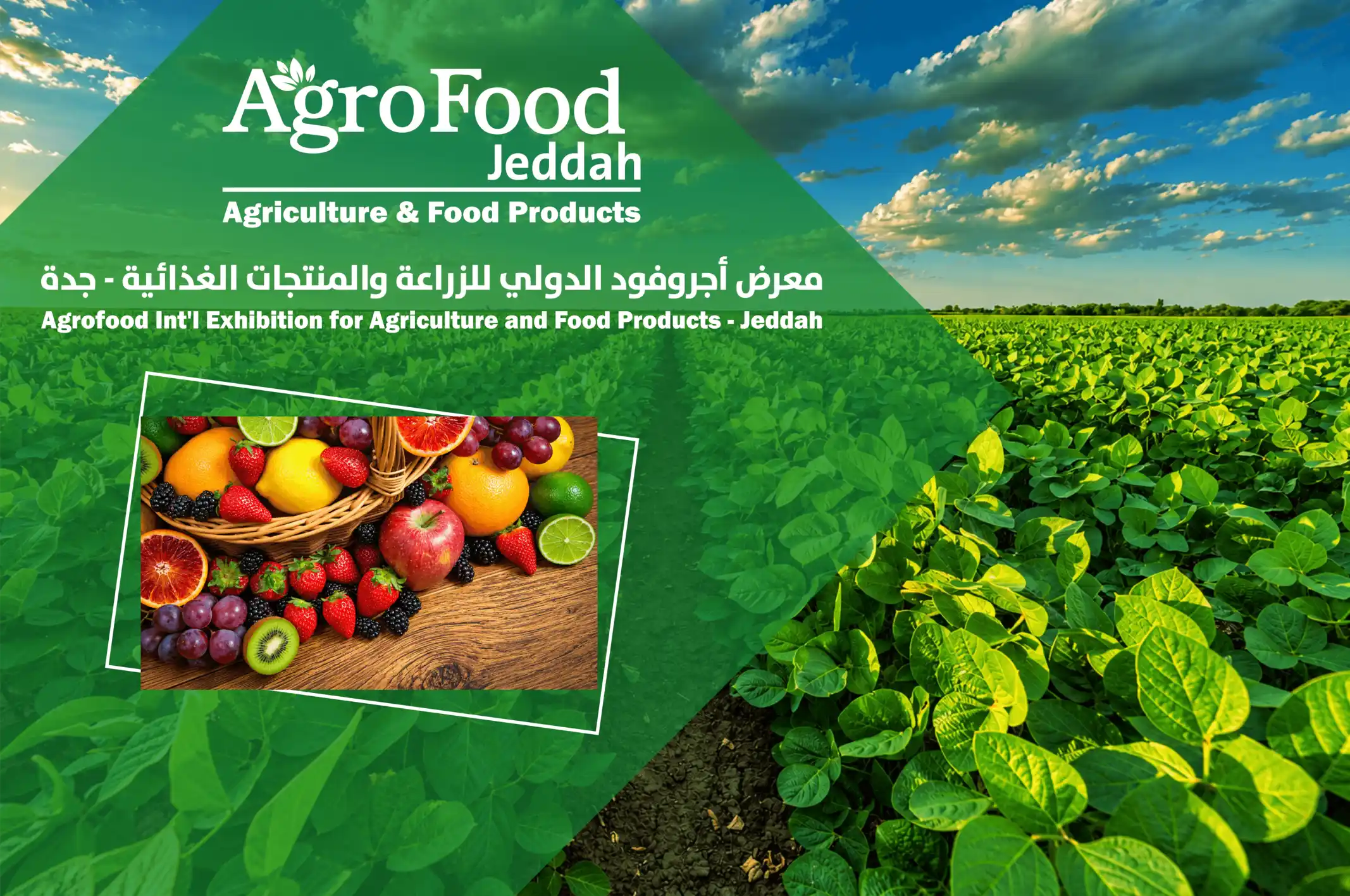 Fruits and Farm