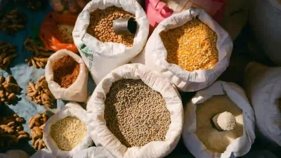Grains and Legumes Grains and Legumes