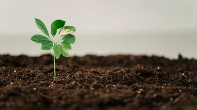 Organic and Chemical Fertilizers Organic and Chemical Fertilizers