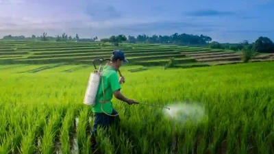 Pesticides and Agricultural Pest Control Pesticides and Agricultural Pest Control